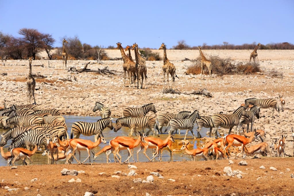 road trip afrique du sud voyage safari Soweto