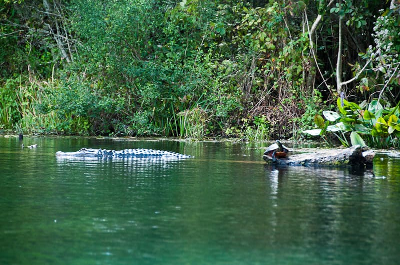 voyage états unis floride