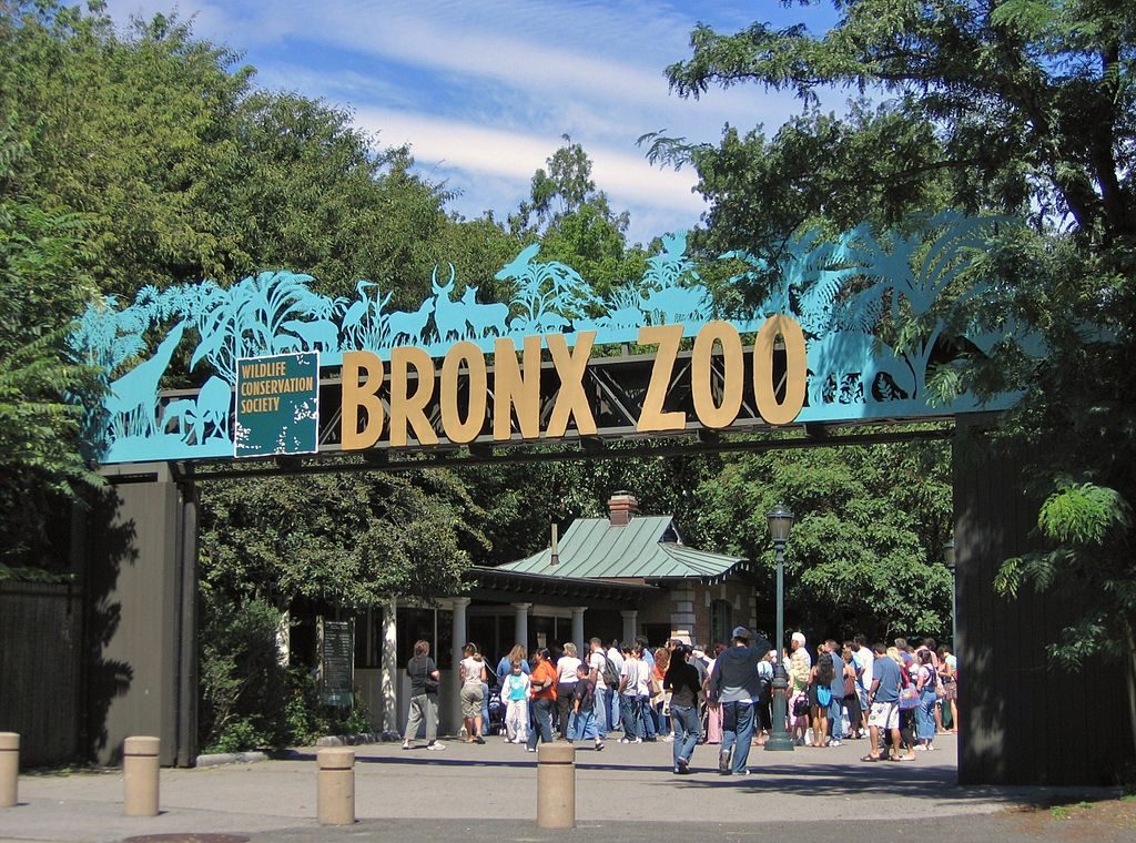 Bronx voyage état unis citytrip new york