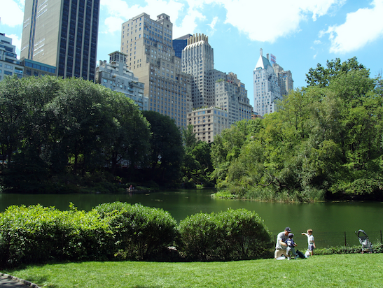 Central Park New York circuit états unis