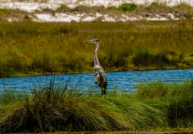 Everglades road trip usa etats unis floride