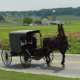 Lancaster amish