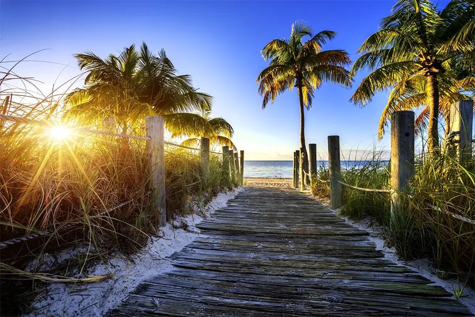 Sous le soleil de Floride Sous le soleil de Floride