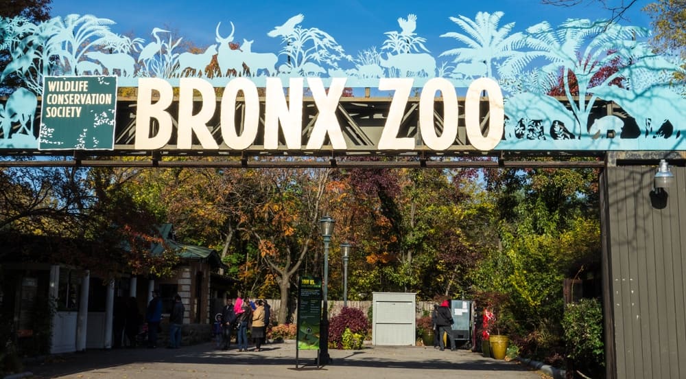 Bronx