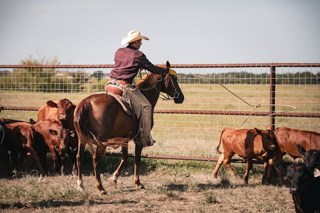 Les ranchs du Kansas
