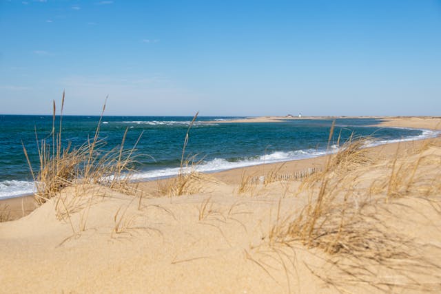 Parc d’État de Cape Henlopen