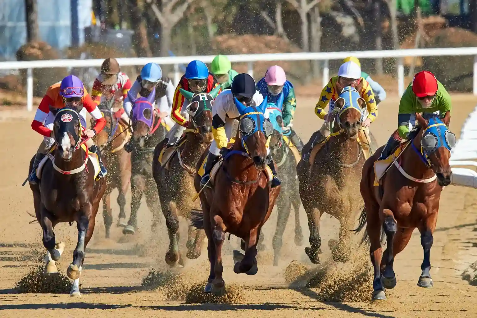 chevaux-de-course-sur-la-piste-de-churchill-downs-lors-dune-competition-hippique-dans-le-kentucky